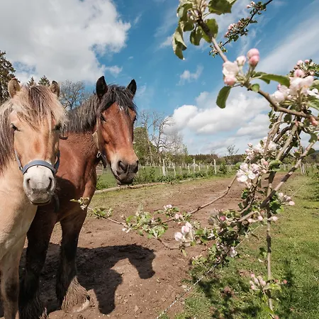 Holiday home La Roulotte O Cwerbas