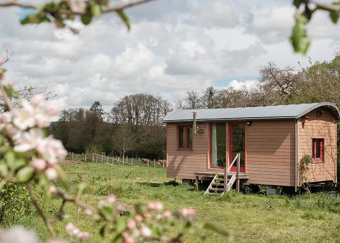 La Roulotte O Cwerbas Gouvy