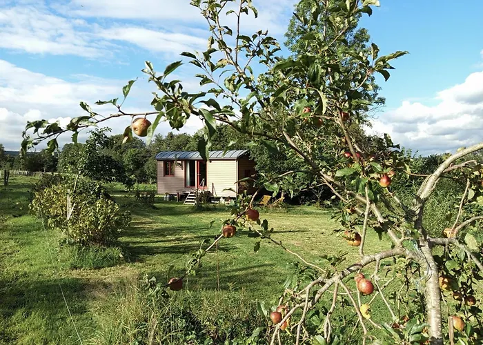 La Roulotte O Cwerbas *