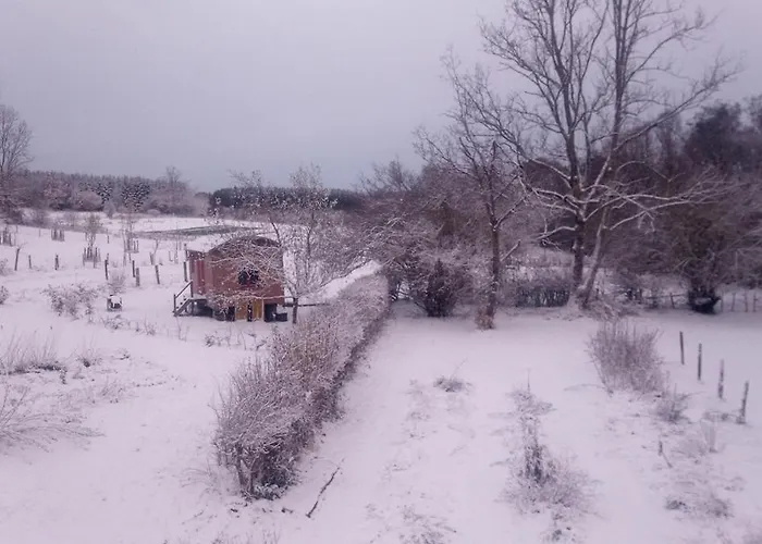 Holiday home La Roulotte O Cwerbas Gouvy