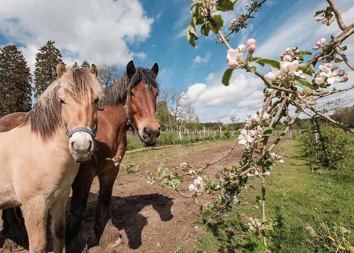 Holiday home La Roulotte O Cwerbas